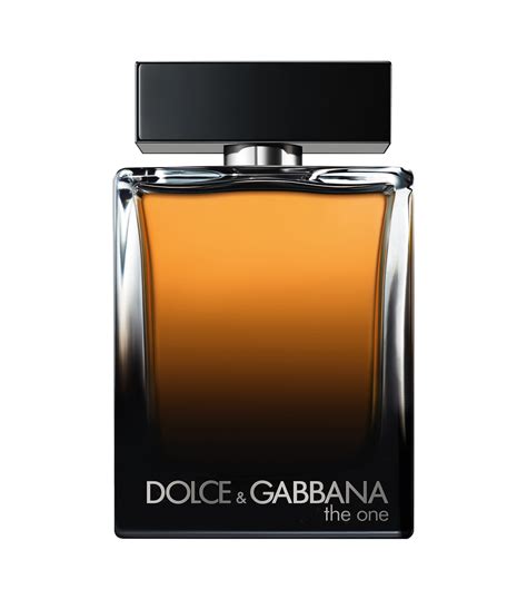 dolce gabbana beleidigung|dolce und gabbana the one.